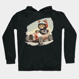 cat in a racing go kart Hoodie